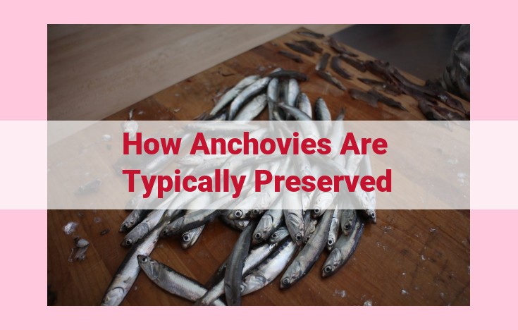 how anchovies are typically preserved