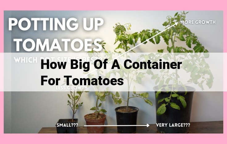 how big of a container for tomatoes