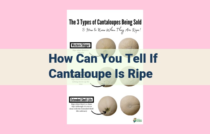 how can you tell if cantaloupe is ripe