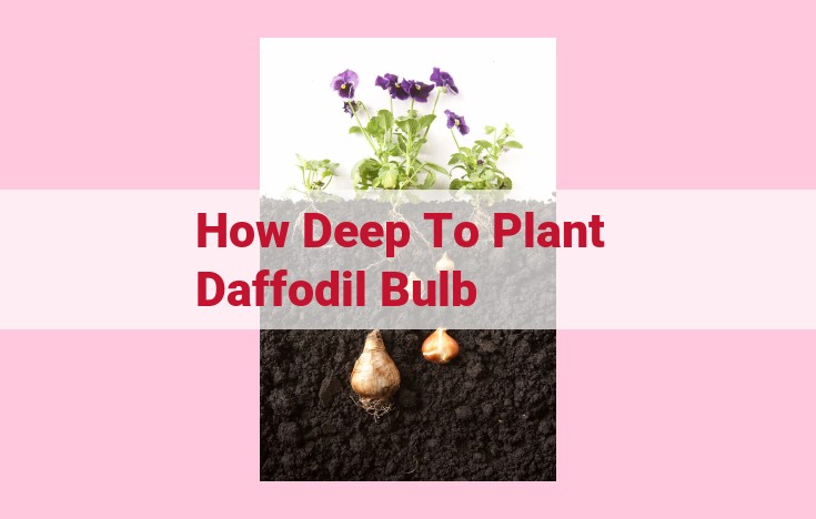 how deep to plant daffodil bulb