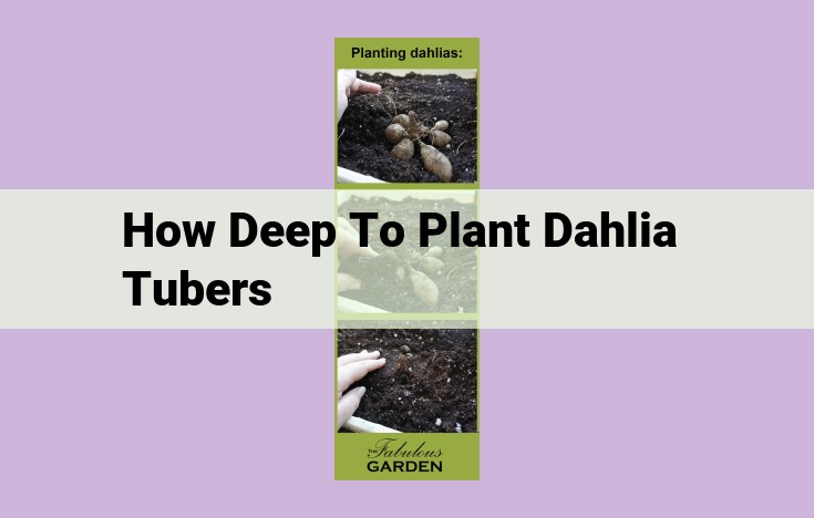 how deep to plant dahlia tubers