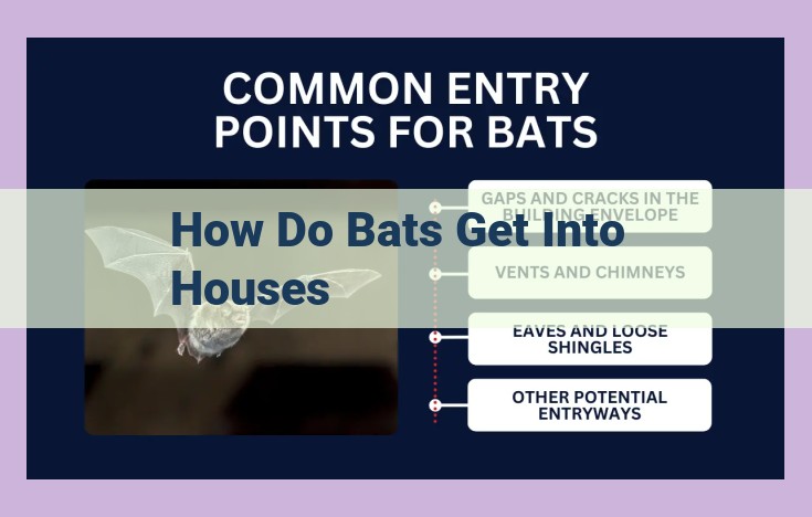 how do bats get into houses