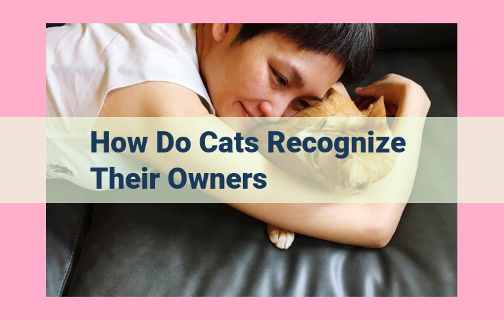 how do cats recognize their owners