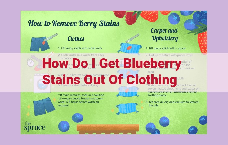 how do i get blueberry stains out of clothing