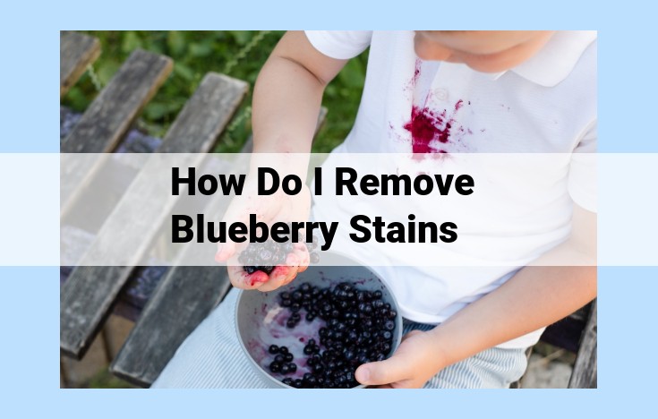 how do i remove blueberry stains