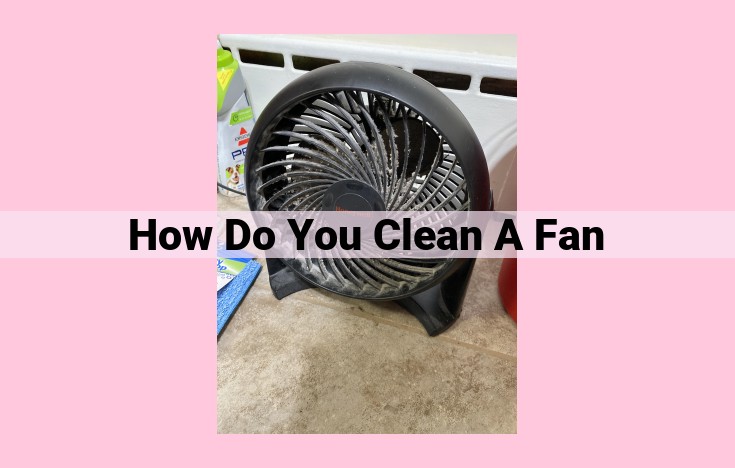 how do you clean a fan