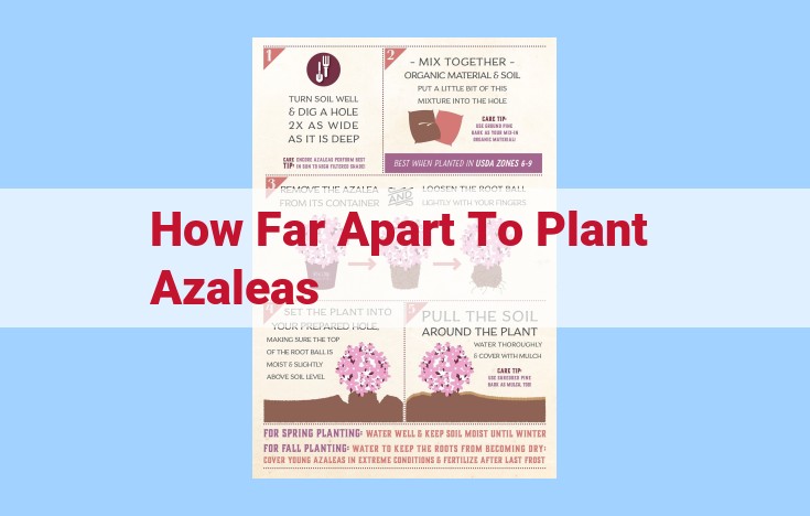 how far apart to plant azaleas