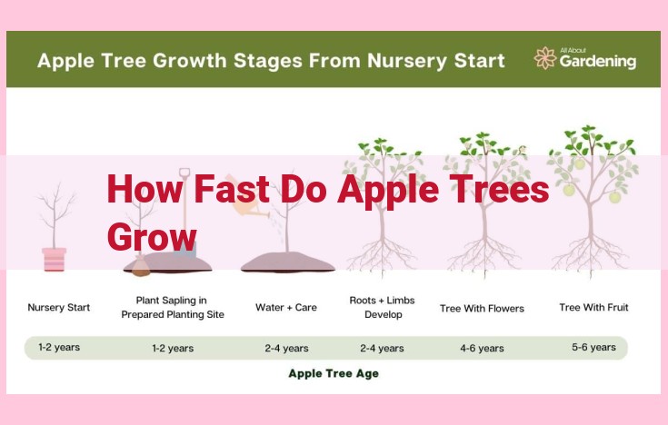 how fast do apple trees grow