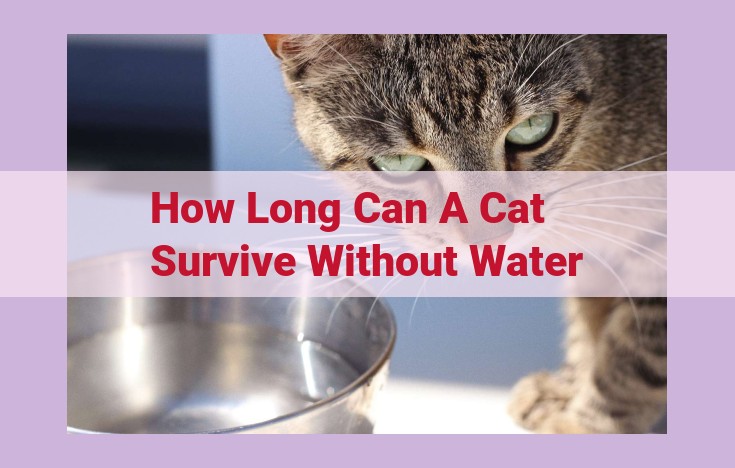 how long can a cat survive without water