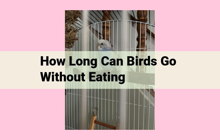 how long can birds go without eating