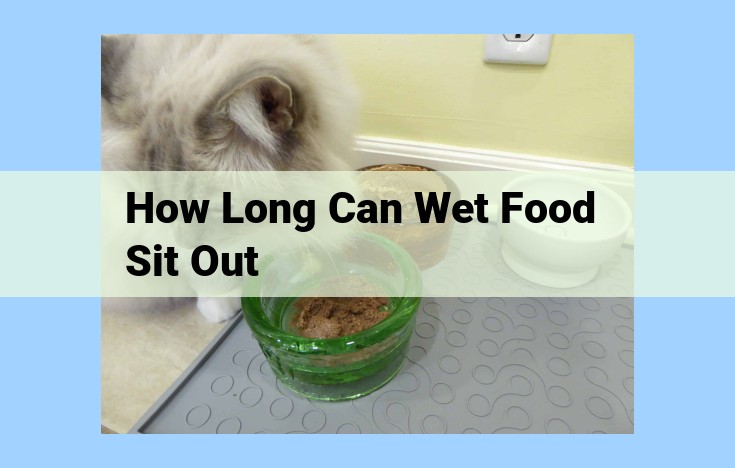 how long can wet food sit out