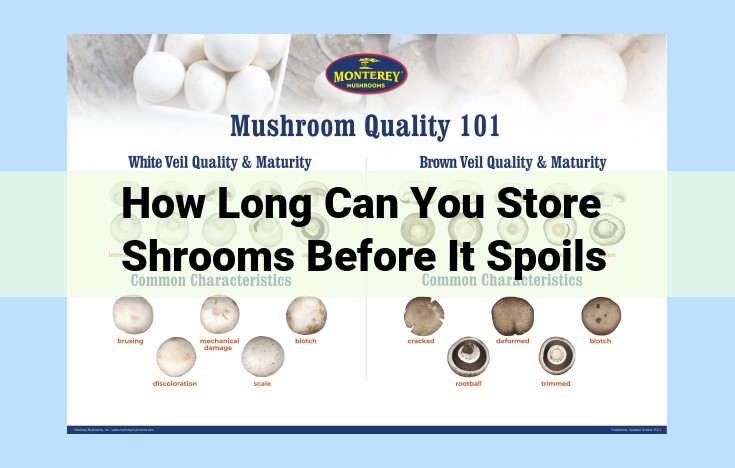 how long can you store shrooms before it spoils