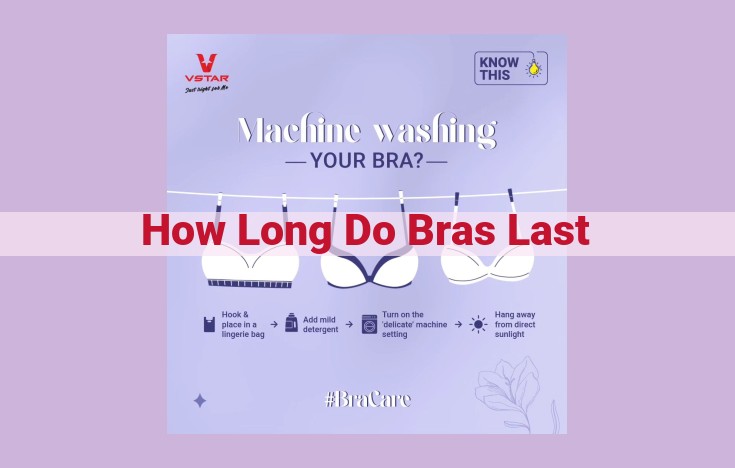 how long do bras last