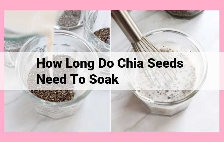 how long do chia seeds need to soak