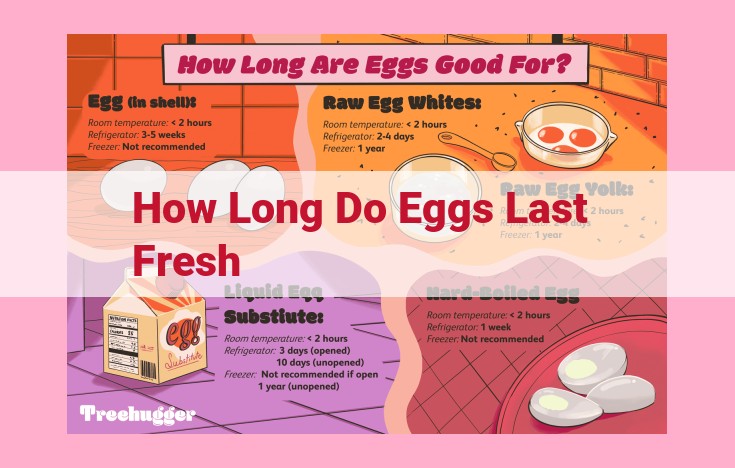 how long do eggs last fresh