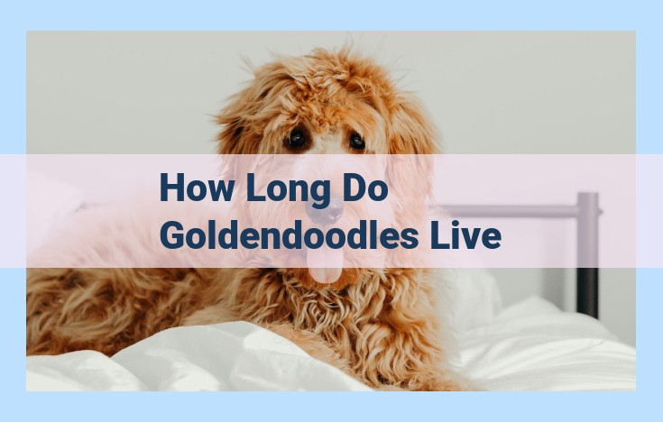 how long do goldendoodles live