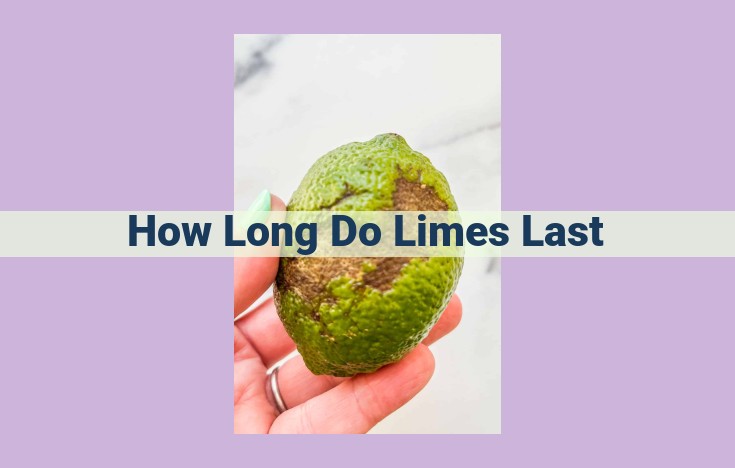 how long do limes last