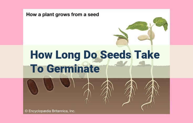 how long do seeds take to germinate