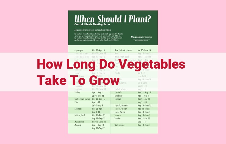 how long do vegetables take to grow