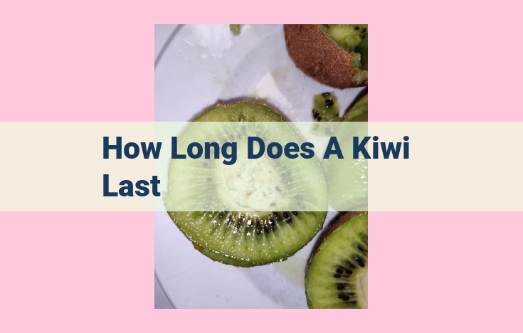 how long does a kiwi last