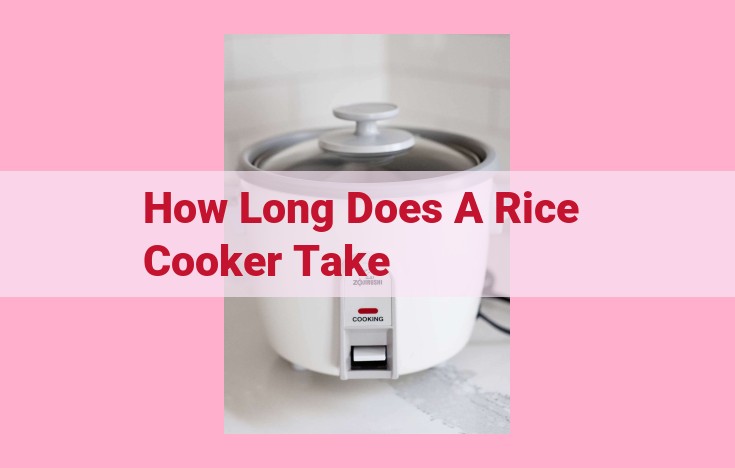 how long does a rice cooker take