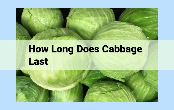 how long does cabbage last