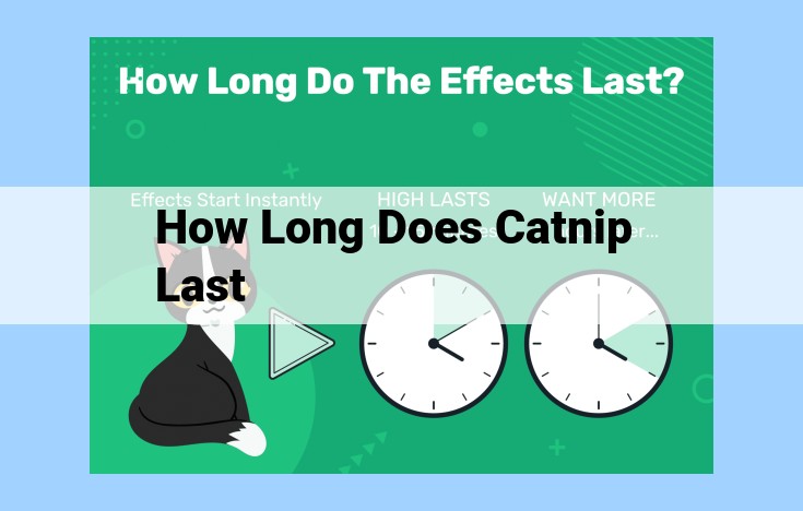 how long does catnip last