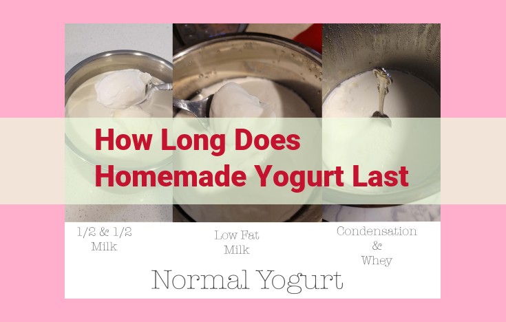 how long does homemade yogurt last