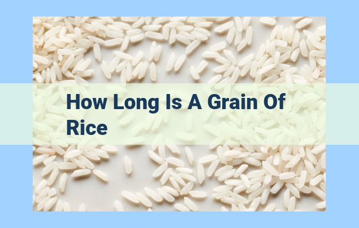 how long is a grain of rice