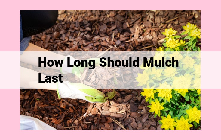 how long should mulch last