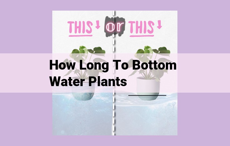 how long to bottom water plants