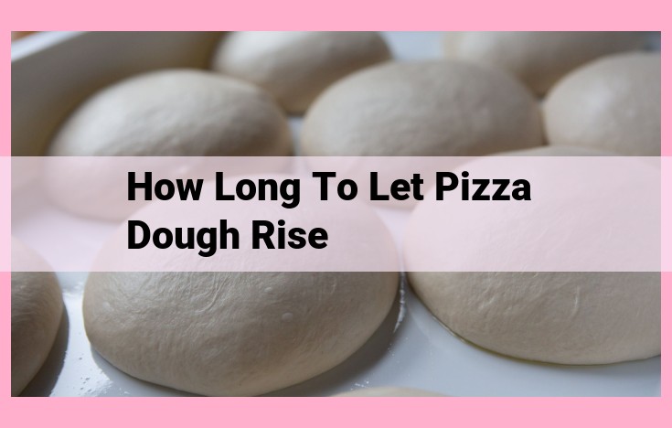 how long to let pizza dough rise