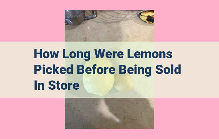 how long were lemons picked before being sold in store