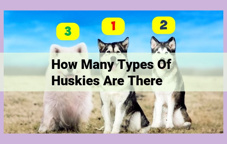 how many types of huskies are there