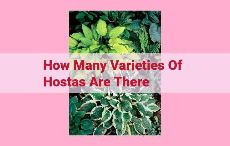 how many varieties of hostas are there