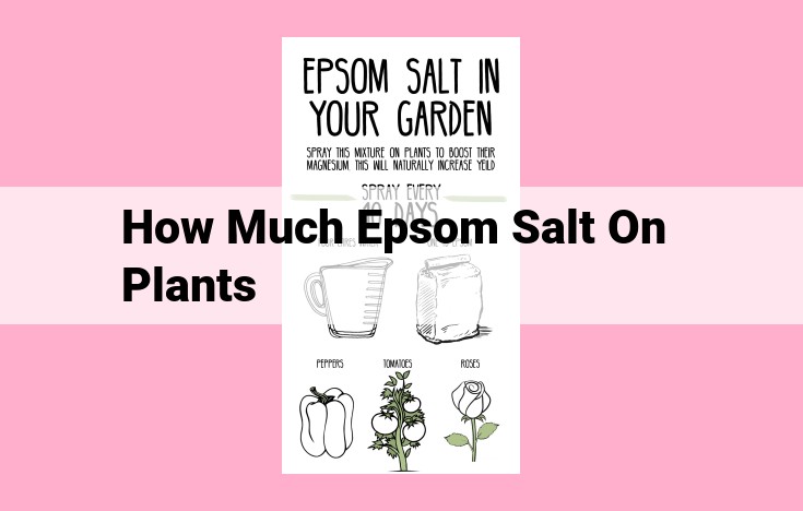 how much epsom salt on plants