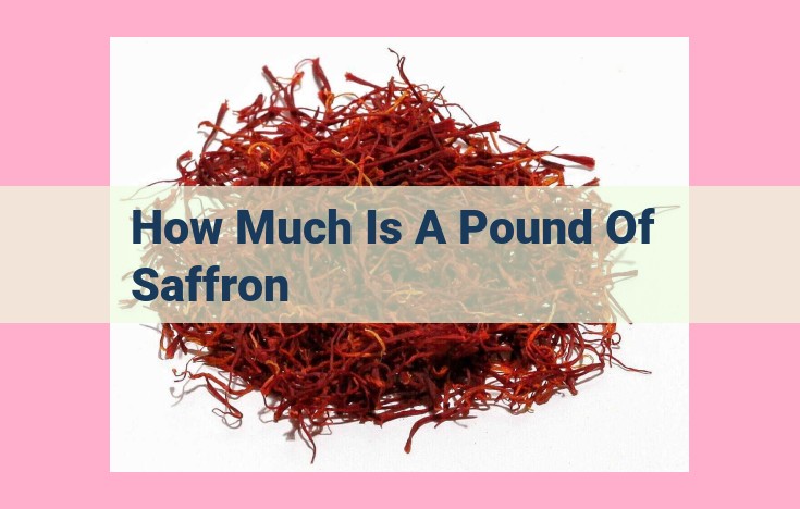 how much is a pound of saffron