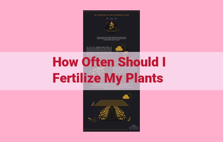 how often should i fertilize my plants