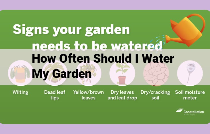 how often should i water my garden