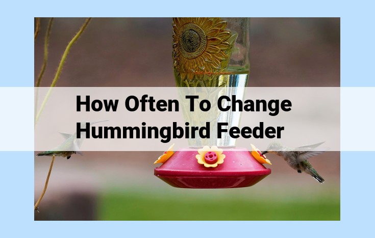 how often to change hummingbird feeder