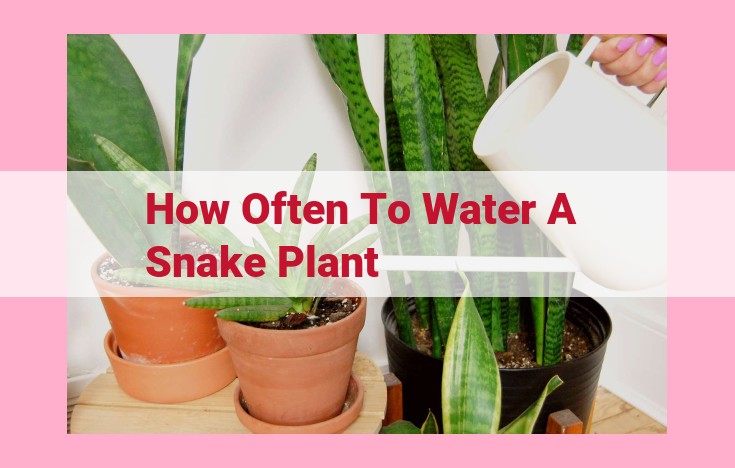 how often to water a snake plant