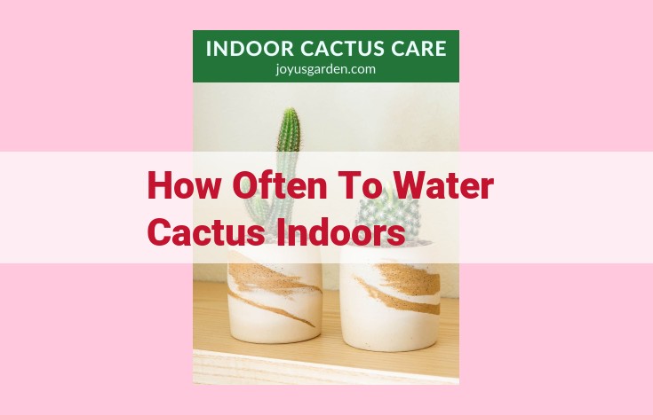 how often to water cactus indoors