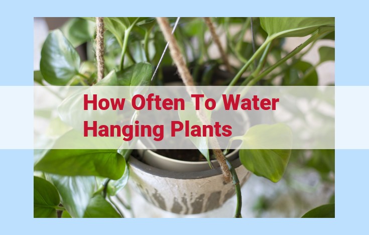 how often to water hanging plants