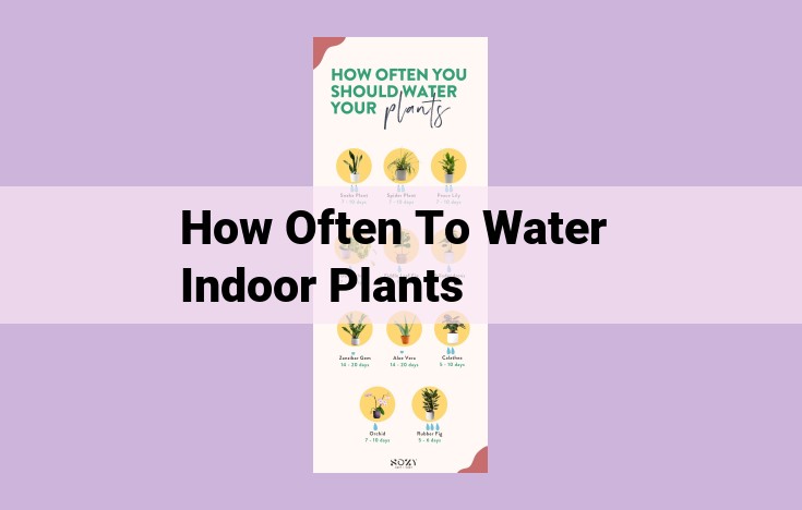 how often to water indoor plants