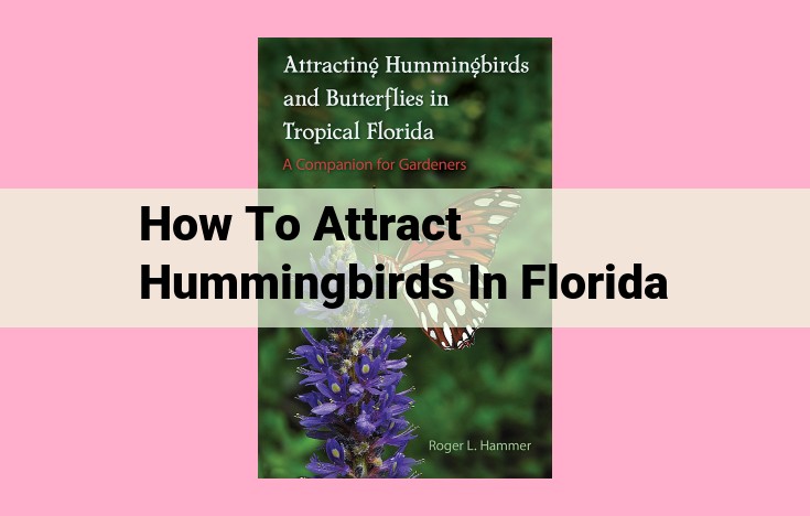 how to attract hummingbirds in florida