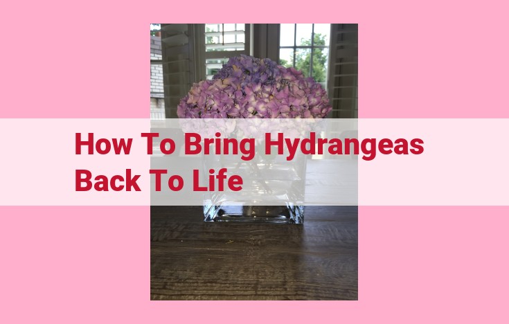 how to bring hydrangeas back to life