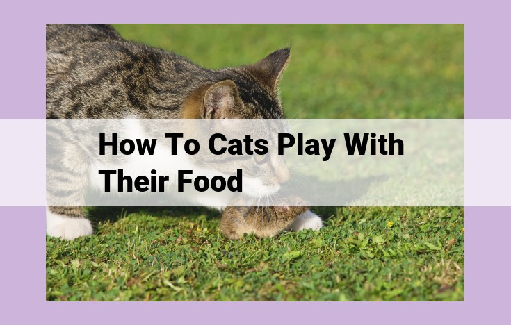 how to cats play with their food