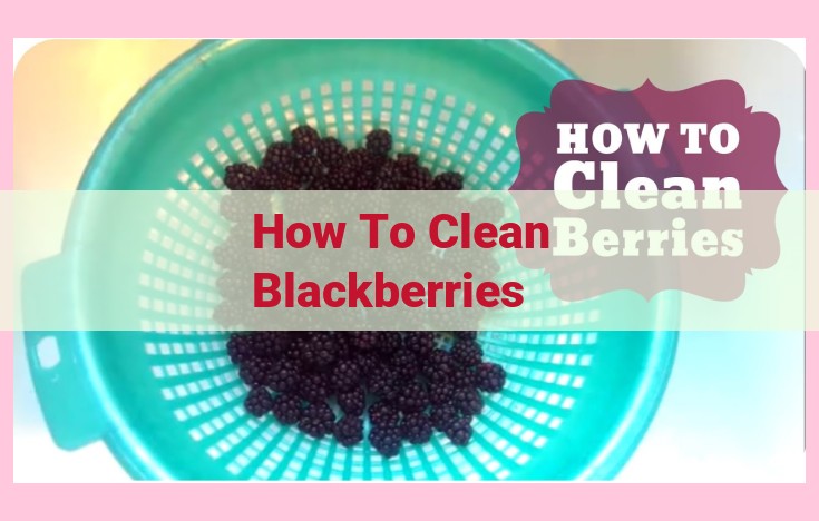 how to clean blackberries