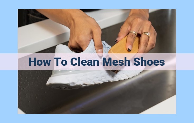 how to clean mesh shoes