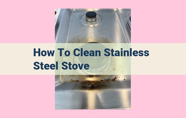 how to clean stainless steel stove